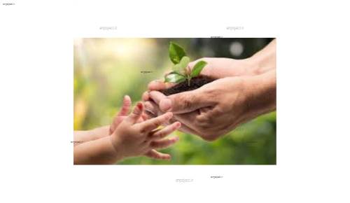 مکان یابی محل دفن زباله با به کارگیری فرآیند تحلیل سلسله مراتبی و روش Topsis (مطالعه ی موردی: شهرستان گلپایگان)